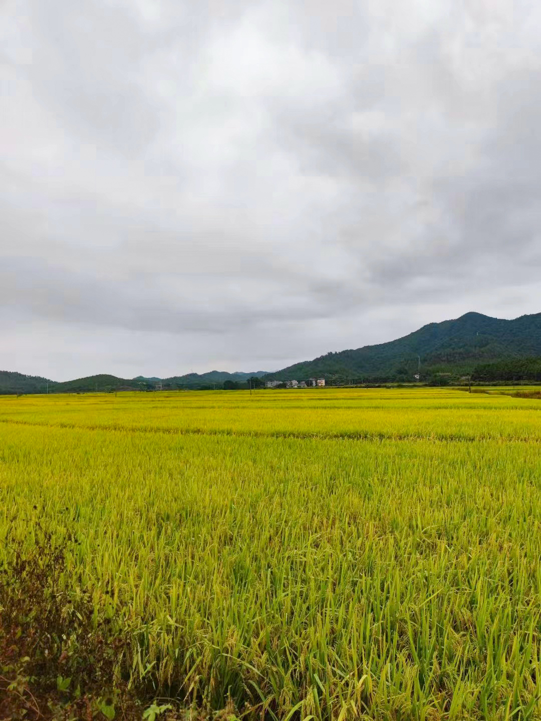 中国·3044永利集团(集团)有限公司-官方网站