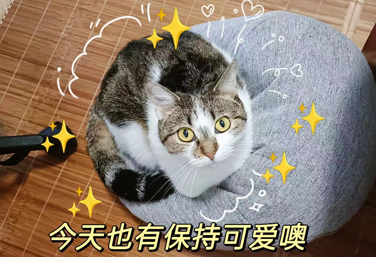 中国·3044永利集团(集团)有限公司-官方网站