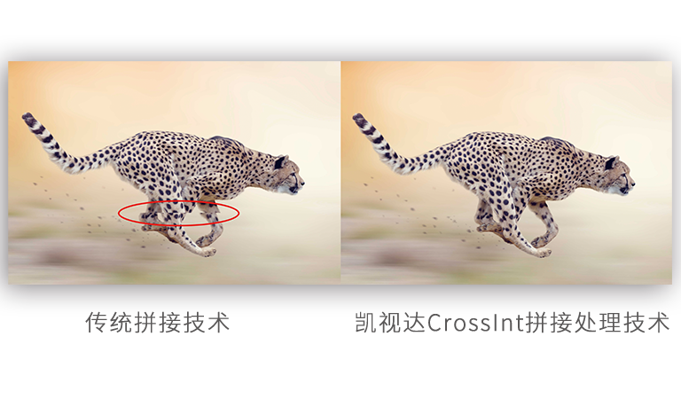中国·3044永利集团(集团)有限公司-官方网站